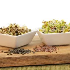 Keimsprossen Set Asiatisch (6 Sorten) | BIO Keimsprossen Sets Von FLORTUS 9 Keimsprossen Set Asiatisch (6 Sorten) | BIO Keimsprossen Sets Von FLORTUS -Blumen Raum Verkaufsgeschäft 554615 BIO Keimsprossen Set Asiatisch 6 Sorten 2000 0735 4