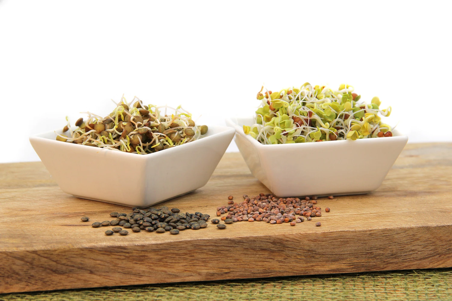 Keimsprossen Set Asiatisch (6 Sorten) | BIO Keimsprossen Sets Von FLORTUS 4 Keimsprossen Set Asiatisch (6 Sorten) | BIO Keimsprossen Sets Von FLORTUS – Bild 4