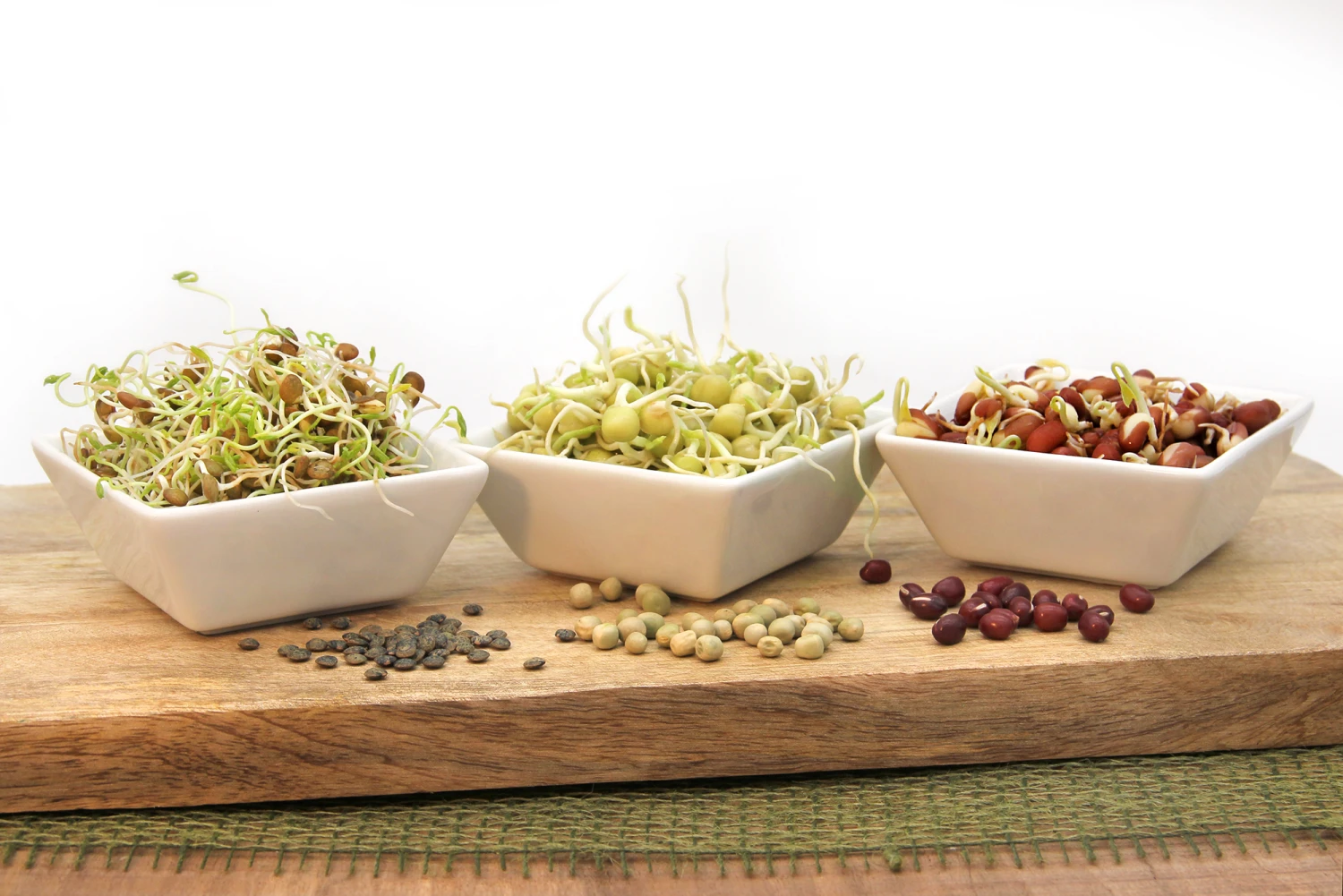 Keimsprossen Set Hülsenfrüchte (6 Sorten) | BIO Keimsprossen Sets Von FLORTUS 6 Keimsprossen Set Hülsenfrüchte (6 Sorten) | BIO Keimsprossen Sets Von FLORTUS – Bild 6