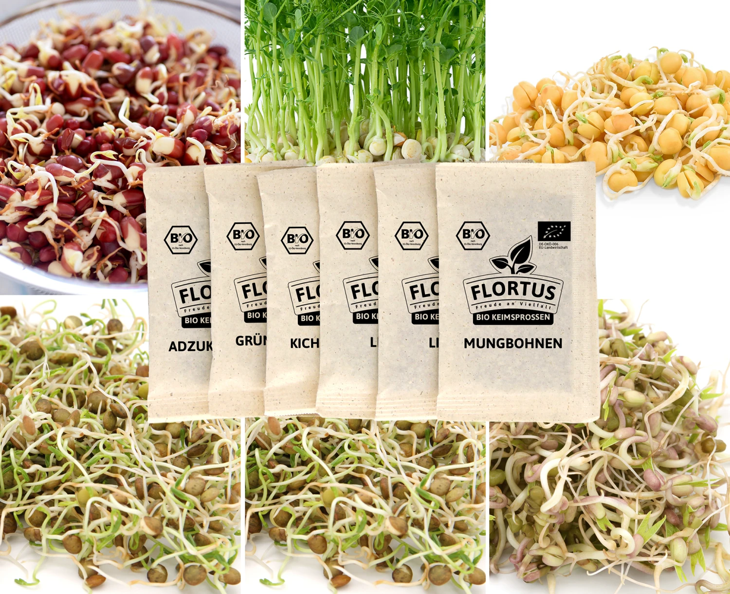 Keimsprossen Set Hülsenfrüchte (6 Sorten) | BIO Keimsprossen Sets Von FLORTUS 4 Keimsprossen Set Hülsenfrüchte (6 Sorten) | BIO Keimsprossen Sets Von FLORTUS – Bild 4
