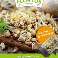 Keimsprossen Anzuchtset - Küchengrundlage (6 Sorten) | BIO Keimsprossen Sets Von FLORTUS 7 Keimsprossen Anzuchtset - Küchengrundlage (6 Sorten) | BIO Keimsprossen Sets Von FLORTUS -Blumen Raum Verkaufsgeschäft 554736 BIO Keimsprossen Anzuchtset Kuechengrundlage 2000 0744 1