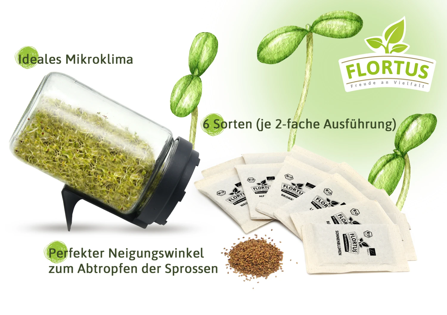 Keimsprossen Anzuchtset - Küchengrundlage (6 Sorten) | BIO Keimsprossen Sets Von FLORTUS 5 Keimsprossen Anzuchtset - Küchengrundlage (6 Sorten) | BIO Keimsprossen Sets Von FLORTUS – Bild 5