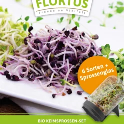 Keimsprossen Anzuchtset - Für Sprossenliebhaber (6 Sorten) | BIO Keimsprossen Sets Von FLORTUS 8 Keimsprossen Anzuchtset - Für Sprossenliebhaber (6 Sorten) | BIO Keimsprossen Sets Von FLORTUS -Blumen Raum Verkaufsgeschäft 554737 BIO Keimsprossen Anzuchtset Fuer Sprossenliebhaber 2000 0745 1