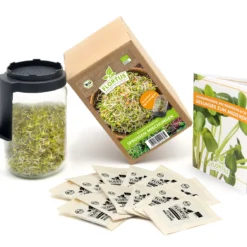 Keimsprossen Anzuchtset - Sprossen Mischungen (6 Sorten) | BIO Keimsprossen Sets Von FLORTUS