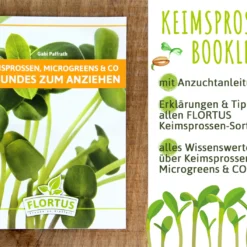 Keimsprossen Anzuchtset - Salat Grundlage (6 Sorten) | BIO Keimsprossen Sets Von FLORTUS