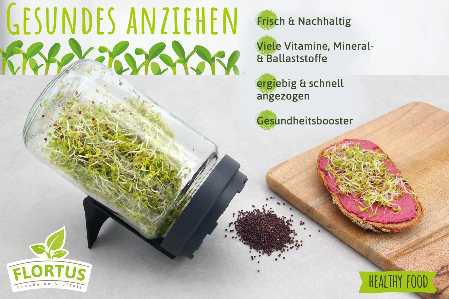 Keimsprossen Anzuchtset - Salat Grundlage (6 Sorten) | BIO Keimsprossen Sets Von FLORTUS 4 Keimsprossen Anzuchtset - Salat Grundlage (6 Sorten) | BIO Keimsprossen Sets Von FLORTUS – Bild 4