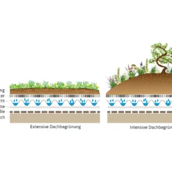 Dachbegrünung RSM 6.1 Für 18 M² (90 G) | Garagenbegrünung Von FLORTUS 11 Dachbegrünung RSM 6.1 Für 18 M² (90 G) | Garagenbegrünung Von FLORTUS -Blumen Raum Verkaufsgeschäft 554849 Dachbegruenung RSM 6 1 90 g 2000 0761 5