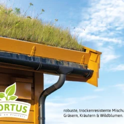 Dachbegrünung RSM 6.1 Für 18 M² (90 G) | Garagenbegrünung Von FLORTUS 9 Dachbegrünung RSM 6.1 Für 18 M² (90 G) | Garagenbegrünung Von FLORTUS -Blumen Raum Verkaufsgeschäft 554849 Dachbegruenung RSM 6 1 90 g 2000 0761 6