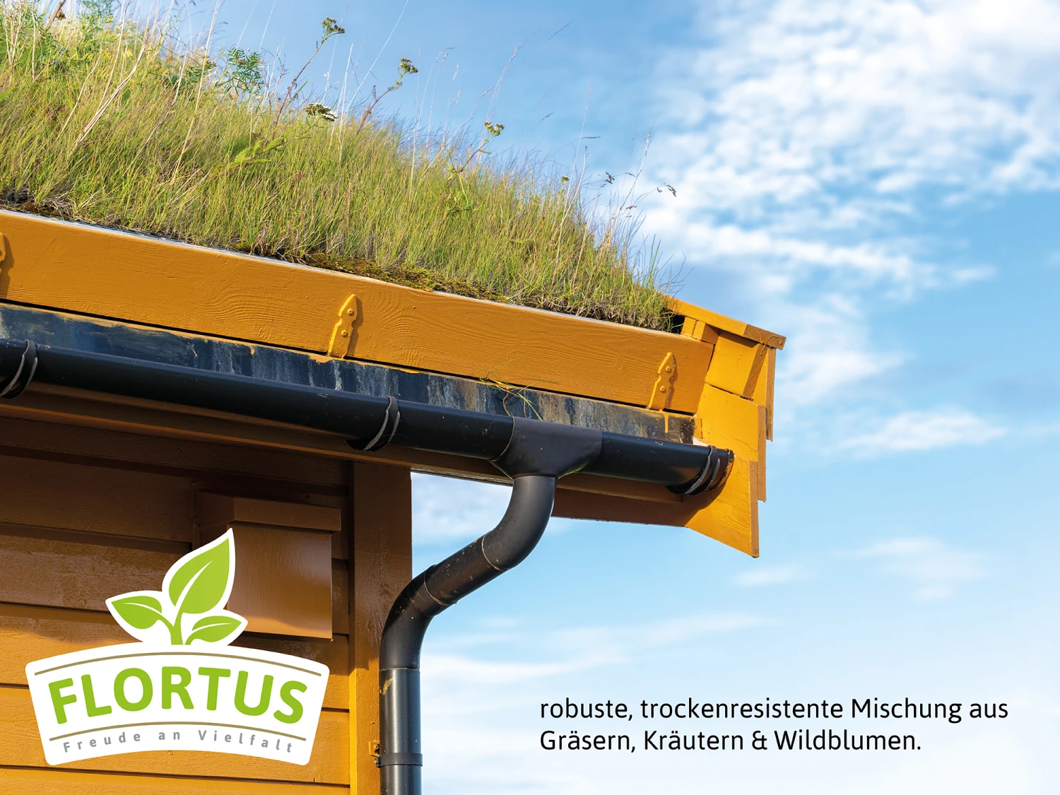 Dachbegrünung RSM 6.1 Für 18 M² (90 G) | Garagenbegrünung Von FLORTUS 3 Dachbegrünung RSM 6.1 Für 18 M² (90 G) | Garagenbegrünung Von FLORTUS – Bild 3