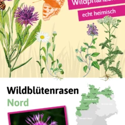 Wildblütenrasen Nord (30 G) | Blumenrasen Von Tausende Gärten 5 Wildblütenrasen Nord (30 G) | Blumenrasen Von Tausende Gärten -Blumen Raum Verkaufsgeschäft 554854 Wildbluetenrasen Nord 30 g 050 0027 0