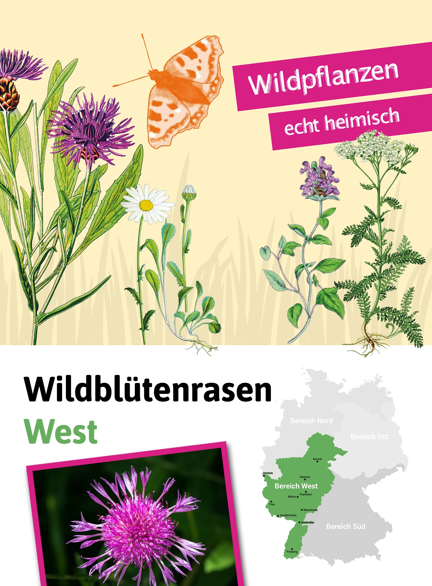 Wildblütenrasen West (30 G) | Blumenrasen Von Tausende Gärten 2 Wildblütenrasen West (30 G) | Blumenrasen Von Tausende Gärten – Bild 2