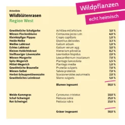 Wildblütenrasen West (30 G) | Blumenrasen Von Tausende Gärten 6 Wildblütenrasen West (30 G) | Blumenrasen Von Tausende Gärten -Blumen Raum Verkaufsgeschäft 554857 Wildbluetenrasen West 30 g 050 0030 2
