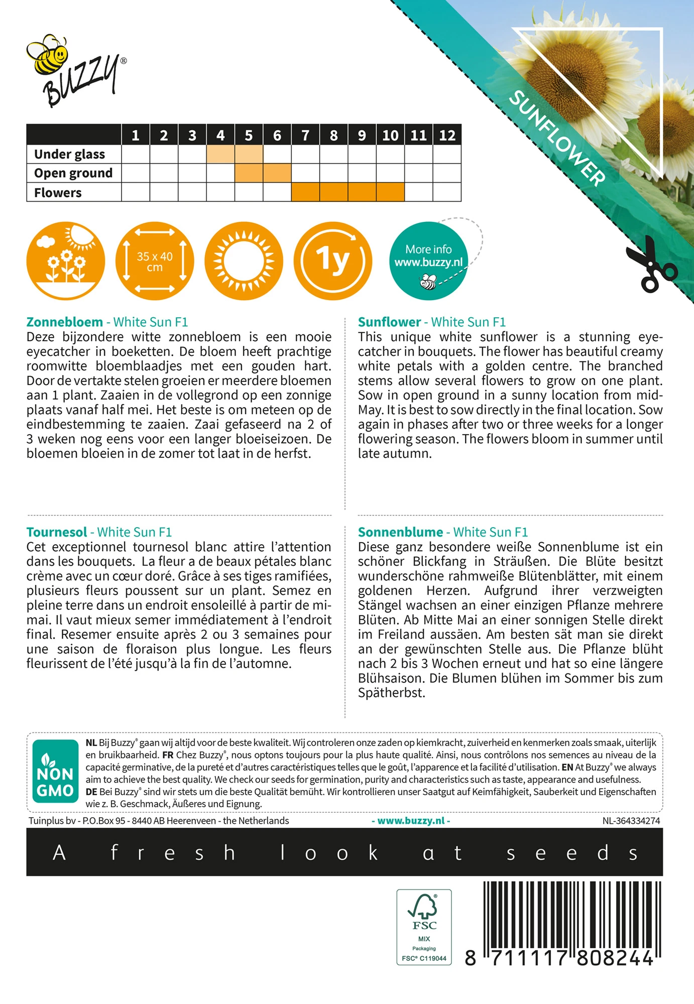 Sonnenblume White Sun F1 | Sonnenblumensamen Von Buzzy Seeds 1 Sonnenblume White Sun F1 | Sonnenblumensamen Von Buzzy Seeds