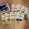 Bunte Mischung Set | BIO Gemüsesamen-Sets Von Wundergarten