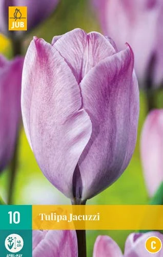 Tulpe Jacuzzi (10 Stück) | Tulpenzwiebeln Von Jub Holland 1 Tulpe Jacuzzi (10 Stück) | Tulpenzwiebeln Von Jub Holland