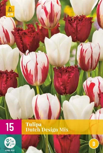 Tulpe Dutch Design Mix (15 Stück) | Tulpenzwiebeln Von Jub Holland 1 Tulpe Dutch Design Mix (15 Stück) | Tulpenzwiebeln Von Jub Holland