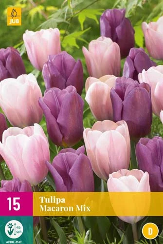 Tulpe Macaron Mix (15 Stück) | Tulpenzwiebeln Von Jub Holland 1 Tulpe Macaron Mix (15 Stück) | Tulpenzwiebeln Von Jub Holland