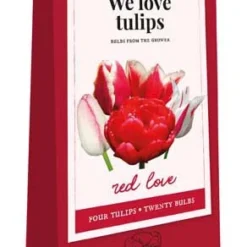 We Love Tulips, Red Love (20 Stück) | Tulpenzwiebeln Von Jub Holland