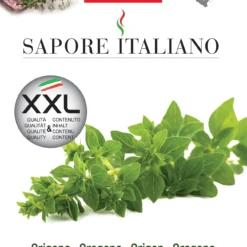 Oregano | Oreganosamen Von BLUMEN Group