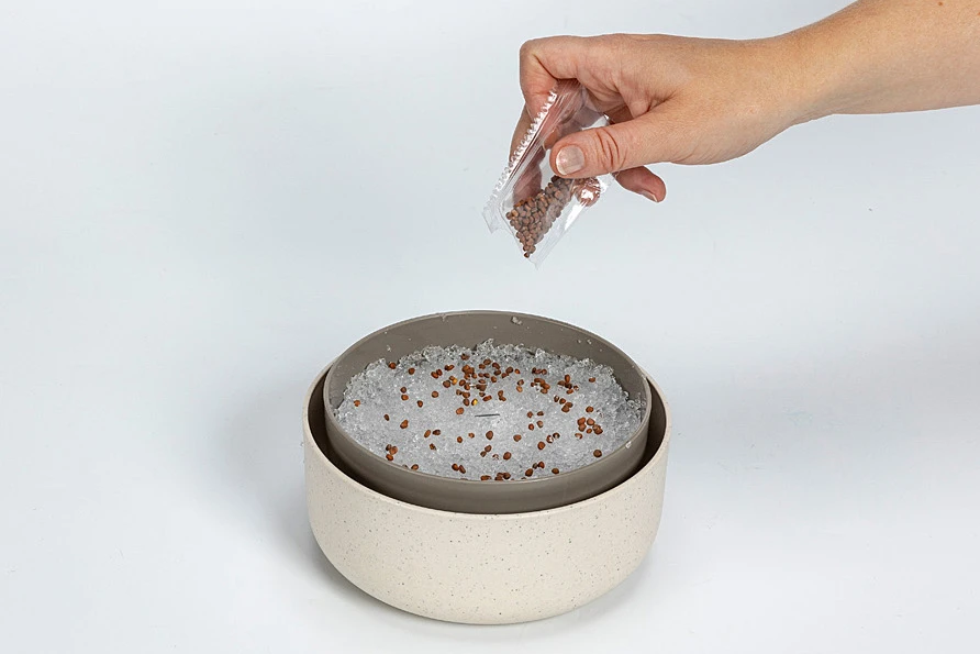 Sprossenschale | Keimschalen Von Plastia 4 Sprossenschale | Keimschalen Von Plastia – Bild 4