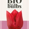 Tulpe Curry (7 Stück) | BIO Tulpenzwiebeln Von Jub Holland