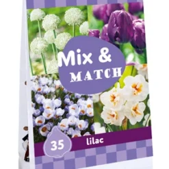 Blumenzwiebelmischung Mix &amp; Match Lilac (35 Stück) | Blumenzwiebelmischungen Von Jub Holland