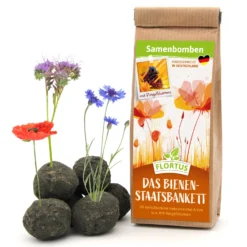 Samenbomben Das Bienenstaatsbankett (6 Stück) | Bienenwiese Von FLORTUS -Blumen Raum Verkaufsgeschäft 562161 Samenbomben Das Bienenstaatsbankett 6 Stueck 2000 2356 1