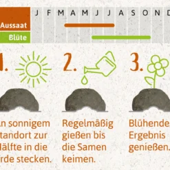 Samenbomben Das Bienenstaatsbankett (6 Stück) | Bienenwiese Von FLORTUS -Blumen Raum Verkaufsgeschäft 562161 Samenbomben Das Bienenstaatsbankett 6 Stueck 2000 2356 4
