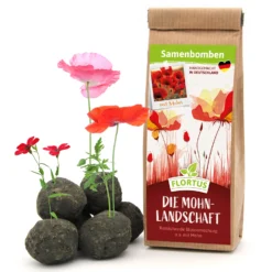 Samenbomben Die Mohnlandschaft (6 Stück) | Mohnsamen Von FLORTUS 11 Samenbomben Die Mohnlandschaft (6 Stück) | Mohnsamen Von FLORTUS -Blumen Raum Verkaufsgeschäft 562163 Samenbomben Die Mohnlandschaft 6 Stueck 2000 1054 1
