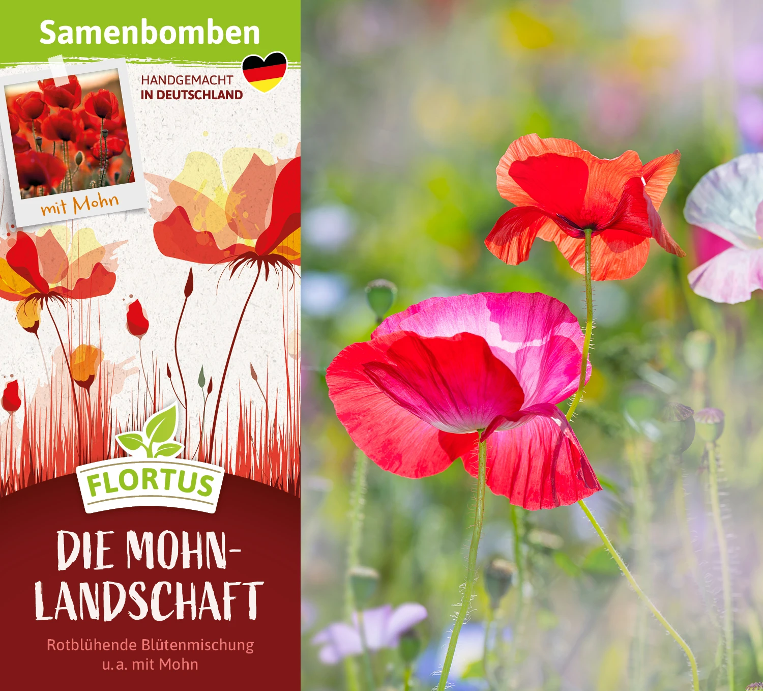 Samenbomben Die Mohnlandschaft (6 Stück) | Mohnsamen Von FLORTUS 1 Samenbomben Die Mohnlandschaft (6 Stück) | Mohnsamen Von FLORTUS