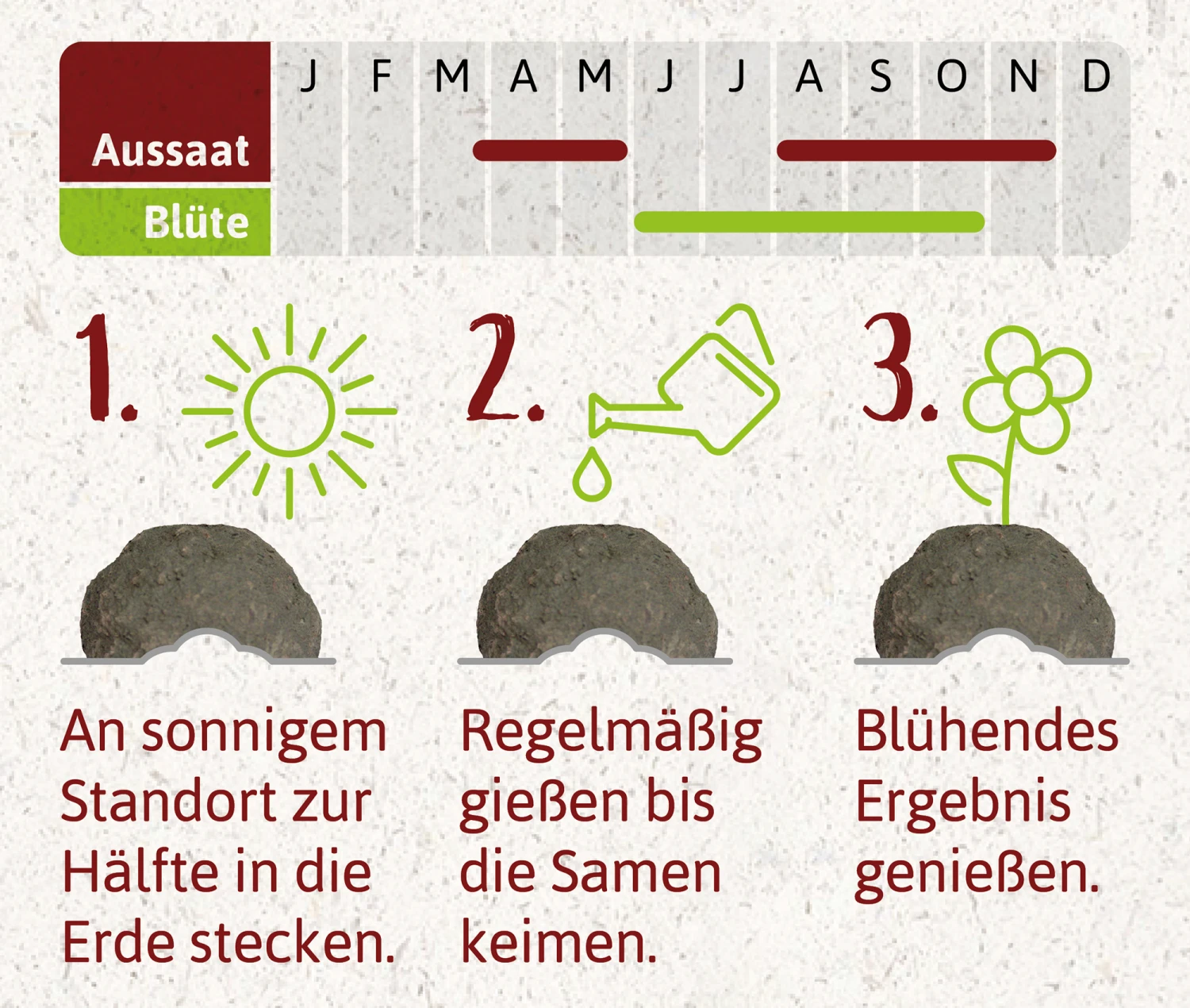 Samenbomben Die Mohnlandschaft (6 Stück) | Mohnsamen Von FLORTUS 2 Samenbomben Die Mohnlandschaft (6 Stück) | Mohnsamen Von FLORTUS – Bild 2