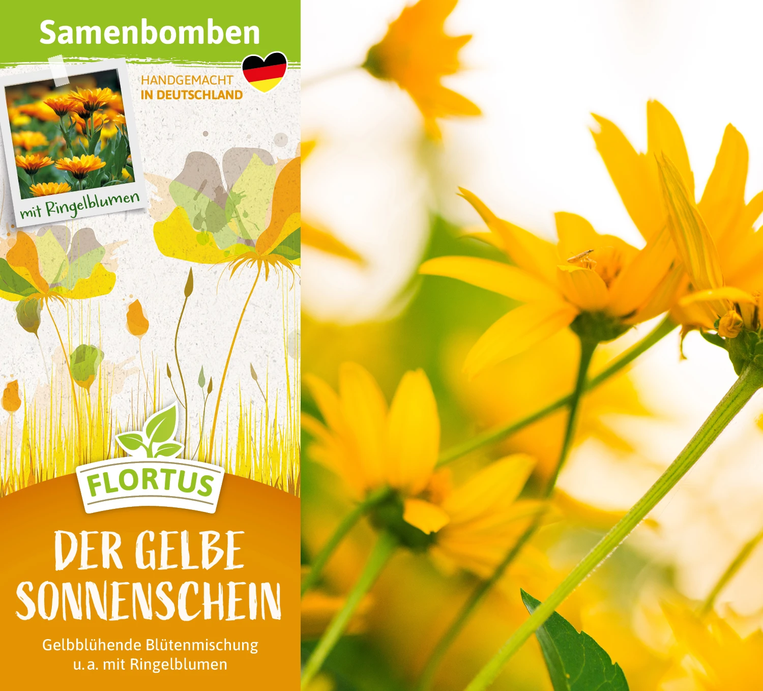 Samenbomben Der Gelbe Sonnenschein (6 Stück) | Blumensamenmischung Von FLORTUS 2 Samenbomben Der Gelbe Sonnenschein (6 Stück) | Blumensamenmischung Von FLORTUS – Bild 2