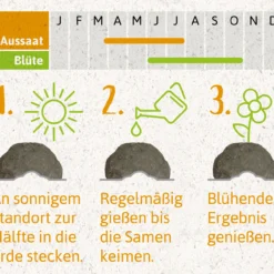 Samenbomben Der Gelbe Sonnenschein (6 Stück) | Blumensamenmischung Von FLORTUS 11 Samenbomben Der Gelbe Sonnenschein (6 Stück) | Blumensamenmischung Von FLORTUS -Blumen Raum Verkaufsgeschäft 562164 Samenbomben Der Gelbe Sonnenschein 6 Stueck 2000 1055 4