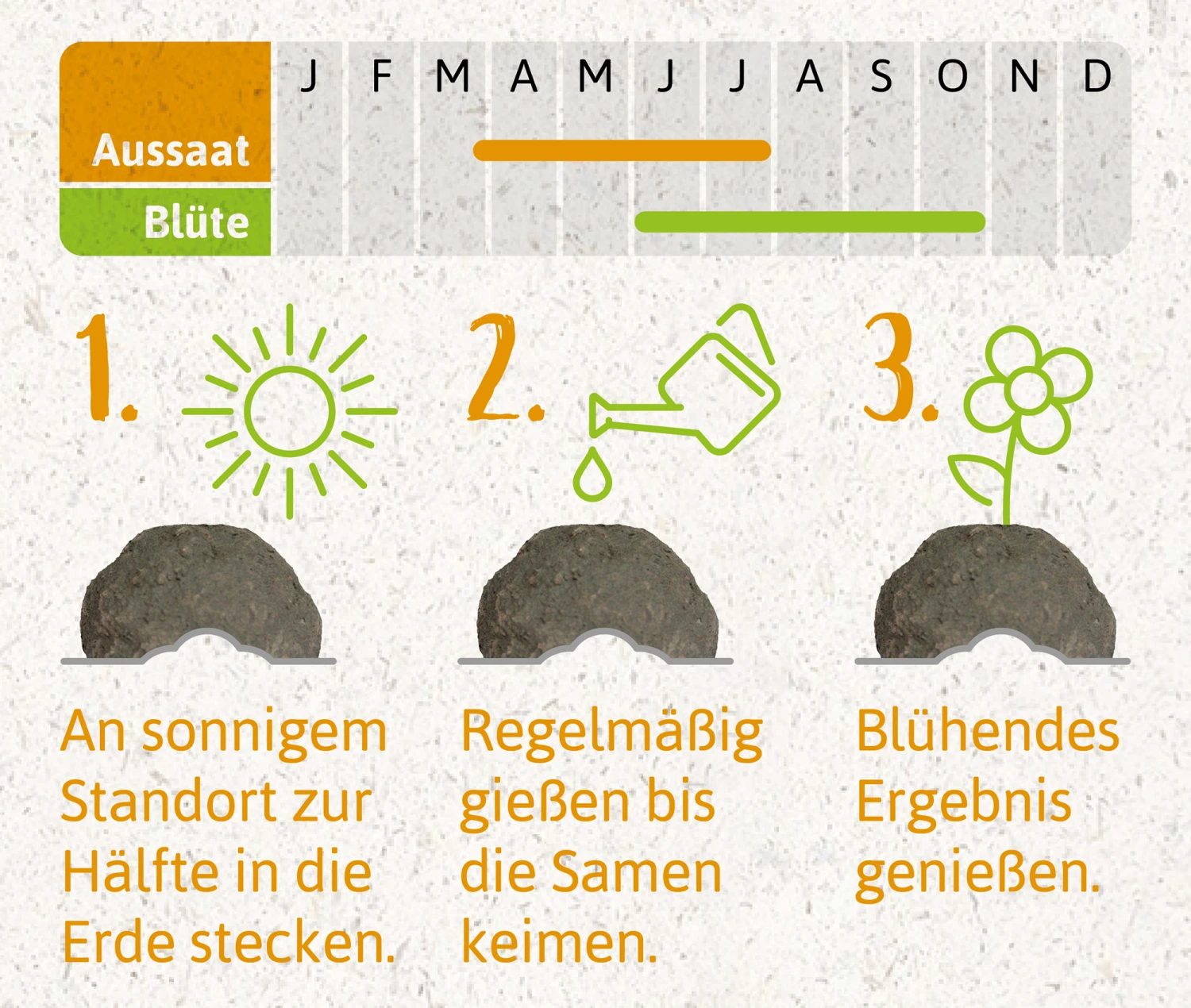 Samenbomben Der Gelbe Sonnenschein (6 Stück) | Blumensamenmischung Von FLORTUS 6 Samenbomben Der Gelbe Sonnenschein (6 Stück) | Blumensamenmischung Von FLORTUS – Bild 6