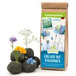 Samenbomben Urlaub Auf Balkonien (6 Stück) | Blumensamenmischung Von FLORTUS