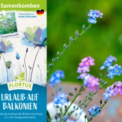 Samenbomben Urlaub Auf Balkonien (6 Stück) | Blumensamenmischung Von FLORTUS -Blumen Raum Verkaufsgeschäft 562167 Samenbomben Urlaub auf Balkonien 6 Stueck 2000 1058 2