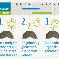 Samenbomben Urlaub Auf Balkonien (6 Stück) | Blumensamenmischung Von FLORTUS -Blumen Raum Verkaufsgeschäft 562167 Samenbomben Urlaub auf Balkonien 6 Stueck 2000 1058 4