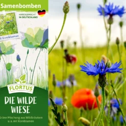 Samenbomben Die Wilde Wiese (6 Stück) | Wildblumenwiese Von FLORTUS 10 Samenbomben Die Wilde Wiese (6 Stück) | Wildblumenwiese Von FLORTUS -Blumen Raum Verkaufsgeschäft 562168 Samenbomben Die wilde Wiese 6 Stueck 2000 1059 2