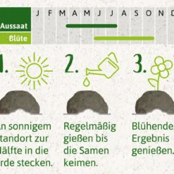 Samenbomben Die Wilde Wiese (6 Stück) | Wildblumenwiese Von FLORTUS