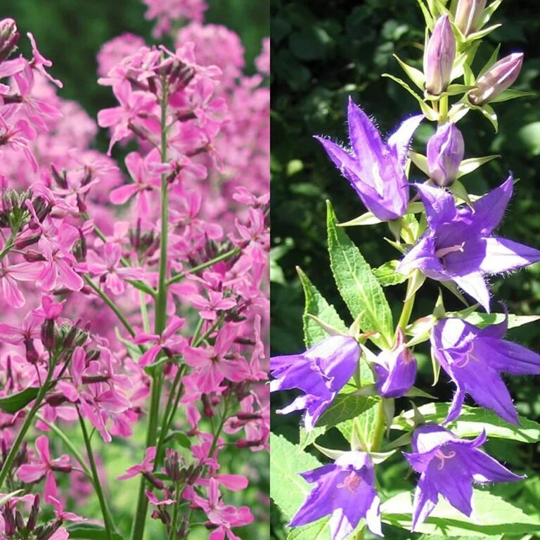 Blumen Raum Verkaufsgeschäft -Blumen Raum Verkaufsgeschäft 3 2